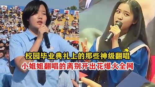 石家庄小矮姐爆料最新消息,最新热点事件深度解析